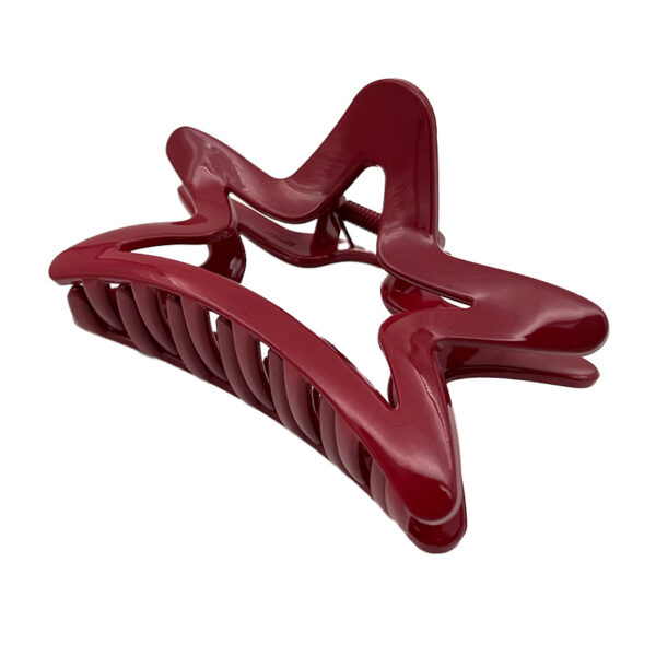 کلیپس ستاره ای 00201559R