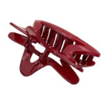 کلیپس ستاره ای 00201559R