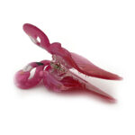 کلیپس طرح فلامینگو 00202275P