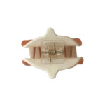 کلیپس برجسته 00202277O