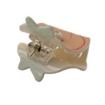 کلیپس برجسته طرح هلو 00202277OL