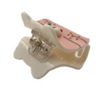 کلیپس برجسته طرح گربه 00202277P