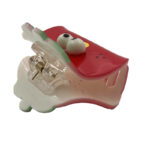 کلیپس برجسته طرح گوجه فرنگی 00202277R