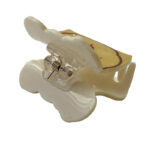 کلیپس برجسته طرح شیر 00202277Y