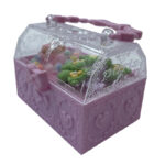 جعبه اکسسوری کودک طرح صندوقچه 01001285-3