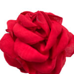 کلیپس گل رز 01101067