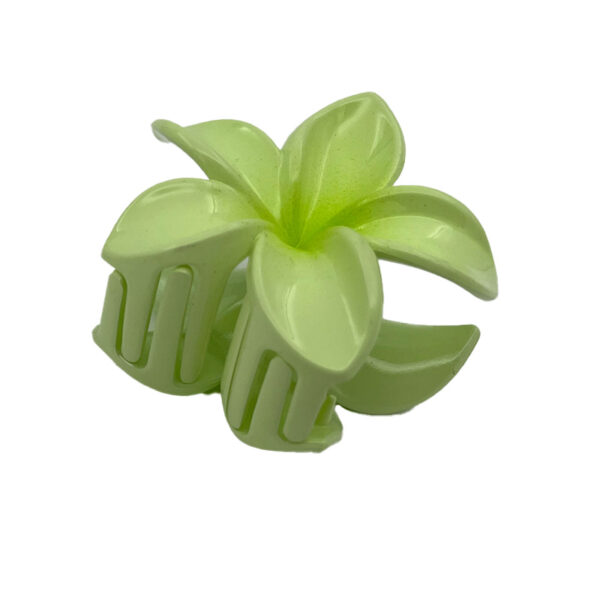 کلیپس گل پلومریا کوچک 00201401