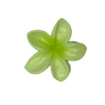 کلیپس گل پلومریا کوچک 00201401