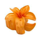 کلیپس پلومریا کوچک 00201365