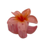 کلیپس پلومریا کوچک 00201365