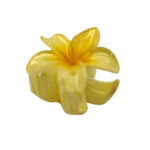 کلیپس پلومریا کوچک 00201365