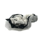 کش پارچه ای توردار 00404059