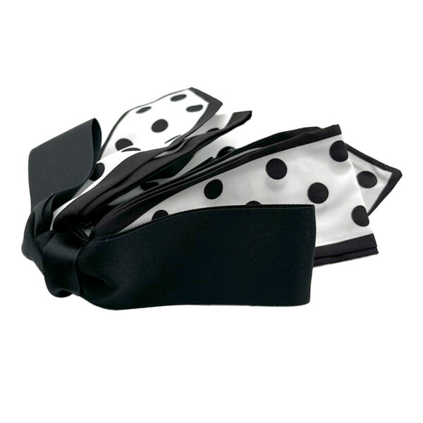 کلیپس آبشاری کرواتی 01101018